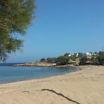 Oasis