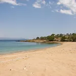 Oasis Logaras