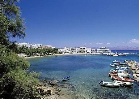 Oasis * Λογαράς